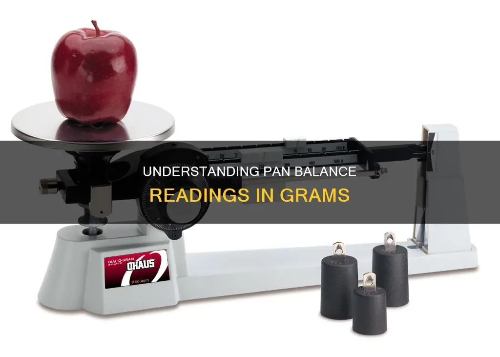 how to read grams on a pan balance