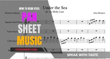 Steel Pan Sheet Music: A Beginner's Guide