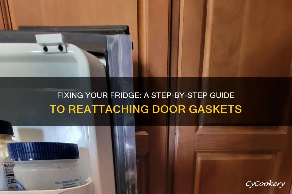 how to reattach a refrigerator door gasket