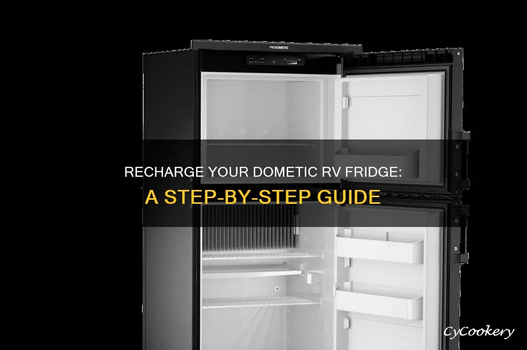 how to recharge a dometic rv refrigerator
