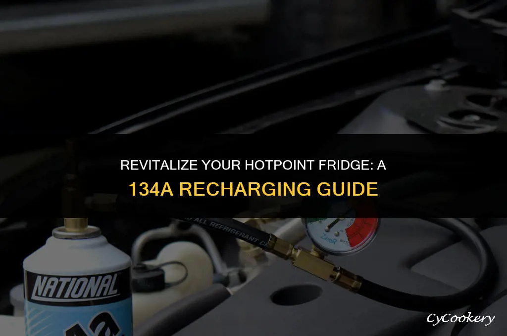how to recharge a hotpoint refrigerator with 134a
