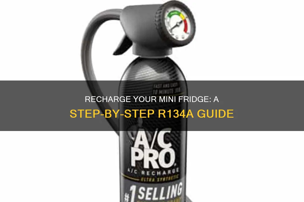 how to recharge a mini refrigerator r134a