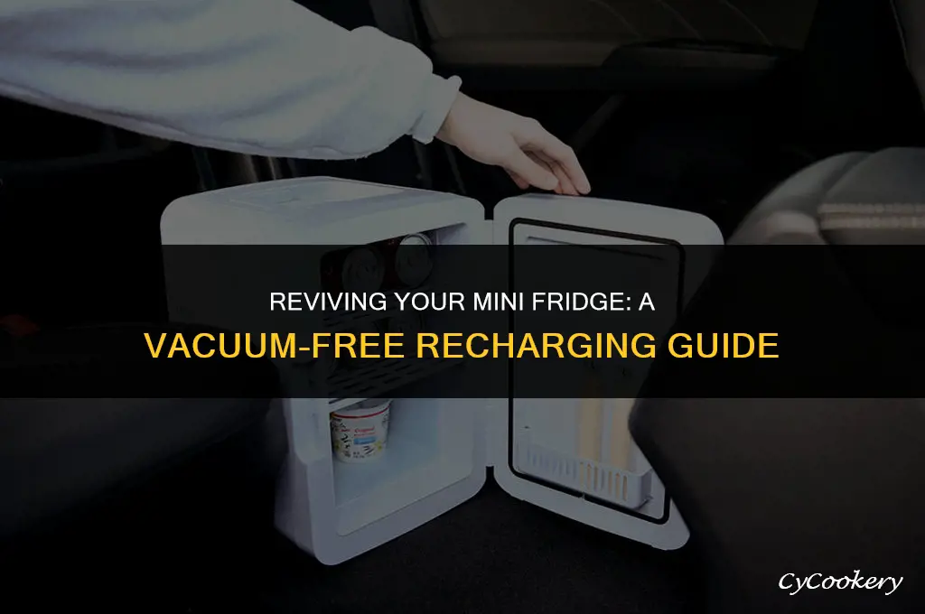 how to recharge a mini refrigerator without a vacuum