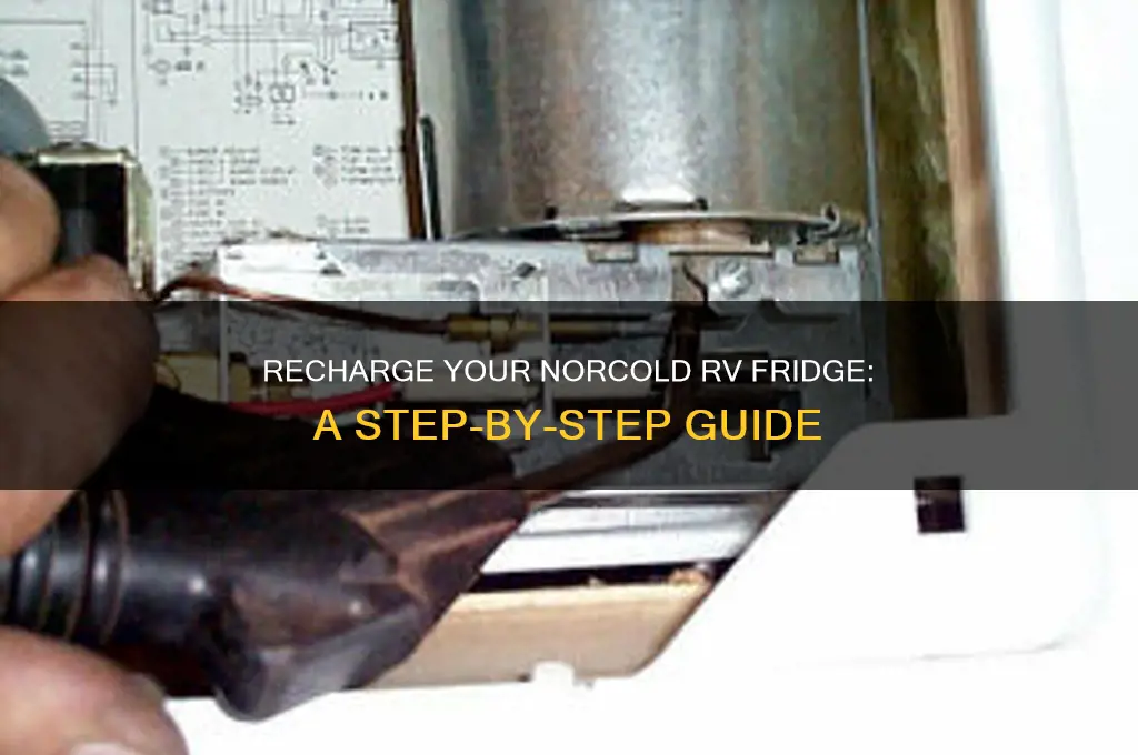 how to recharge a norcold rv refrigerator