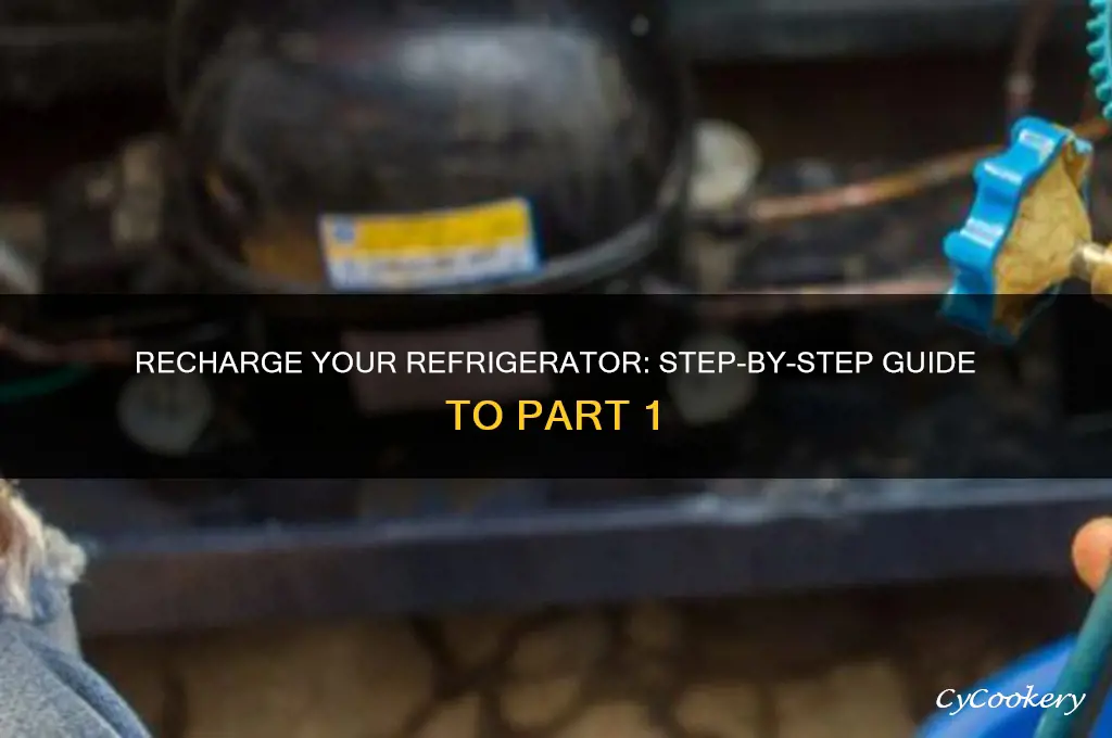 how to recharge a refrigerator part 1