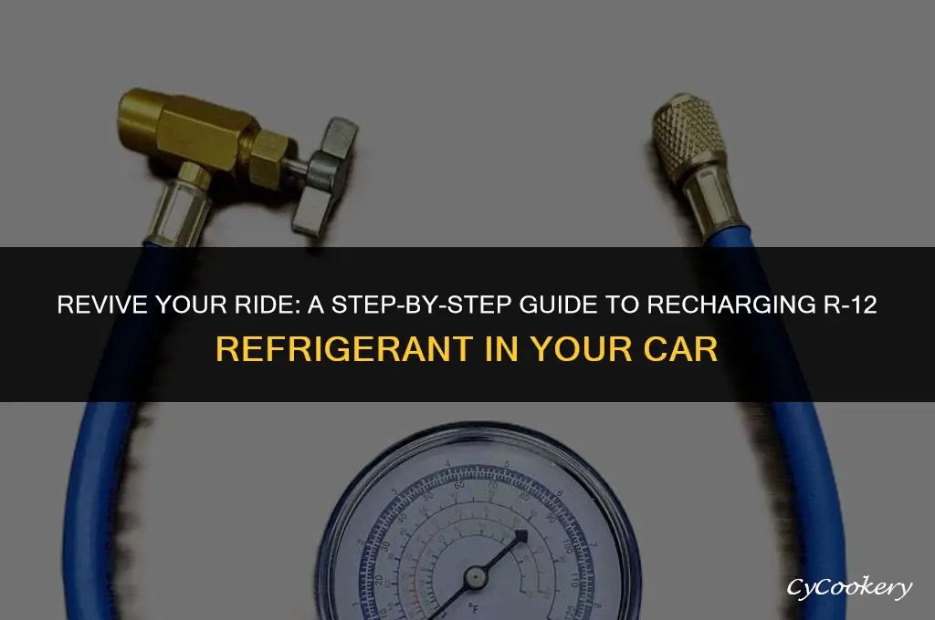 how to recharge r-12 refrigerant in car