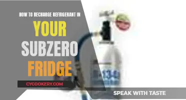 Revitalize Your Subzero: A Guide to Recharging Refrigerant