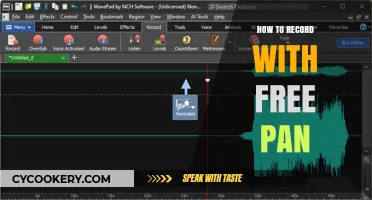 Free Pan: Easy Recording and Creative Possibilities