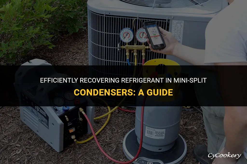 how to recover refrigerant back into condenser minisplit
