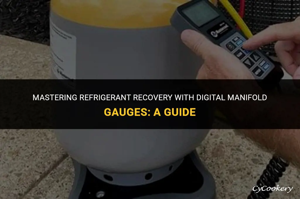 how to recover refrigerant using a digital manifold gauge