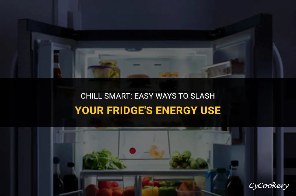 how to reduce energy consumption with your refrigerator