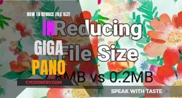 Shrinking Giga Pano File Sizes