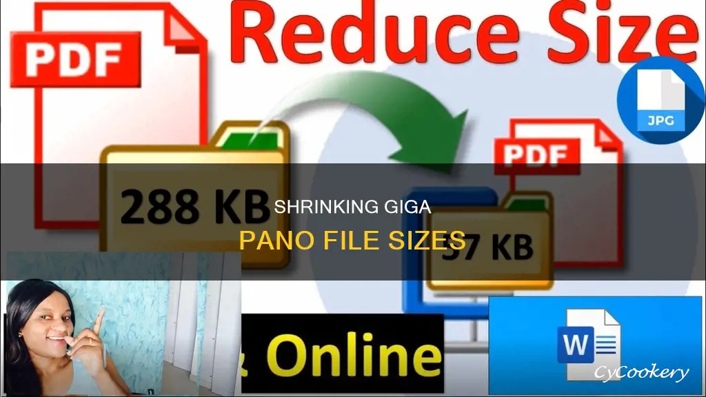 how to reduce file size in giga pano