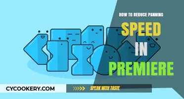 Speeding Up Your Workflow: Reducing Panning Speed in Premiere