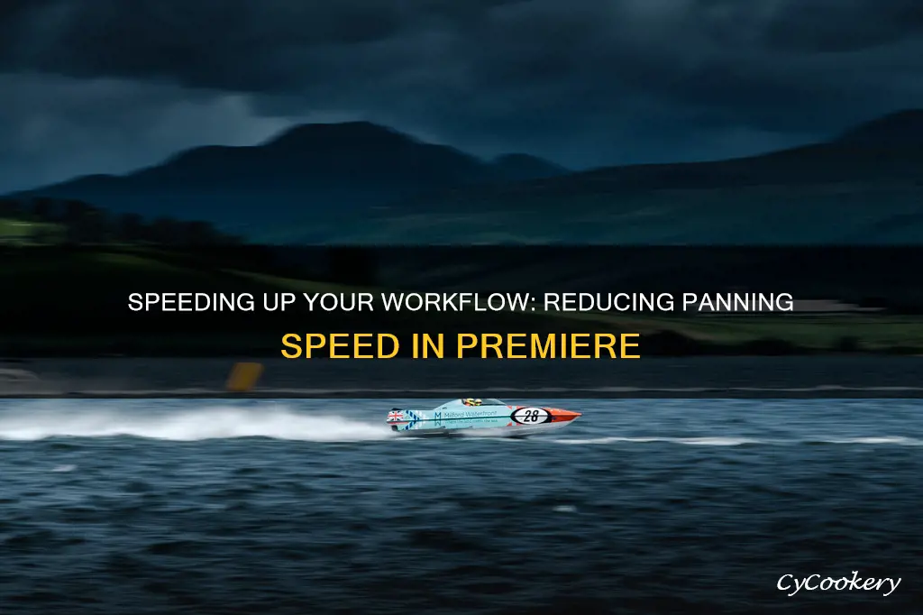 how to reduce panning speed in premiere