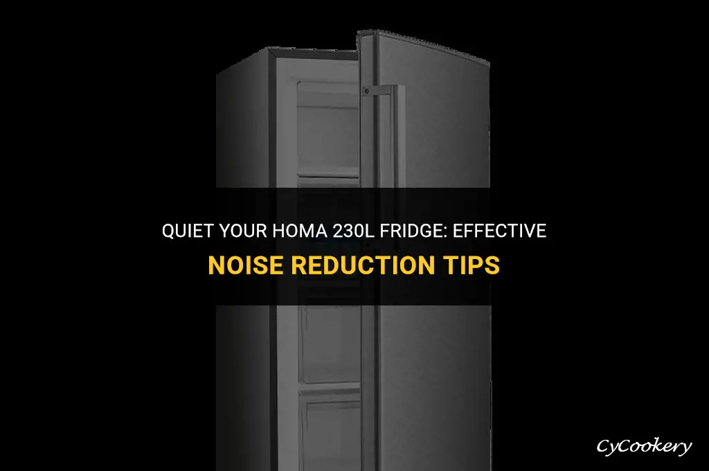 how to reduce the sound of homa refrigerator 230l