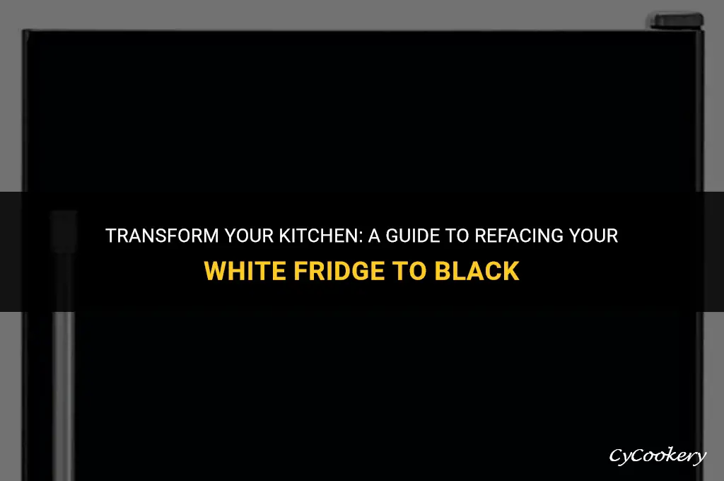how to reface a white refrigerator to black