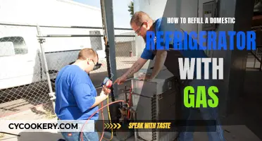 Eco-Friendly Refrigerator Maintenance: A Guide to Safe Gas Refilling