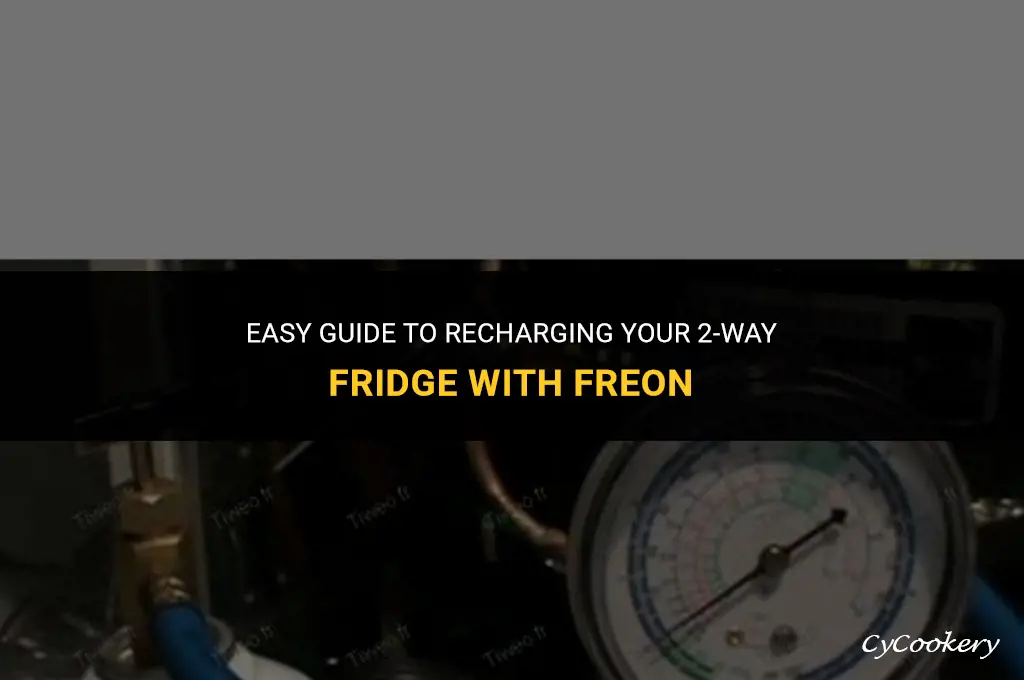 how to refill freon in 2-way refrigerator