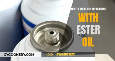 Ester Oil: The Essential Guide to Refilling R12 Refrigerant