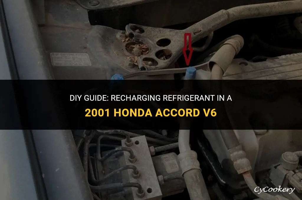 how to refill refrigerant 2001 honda accord v6