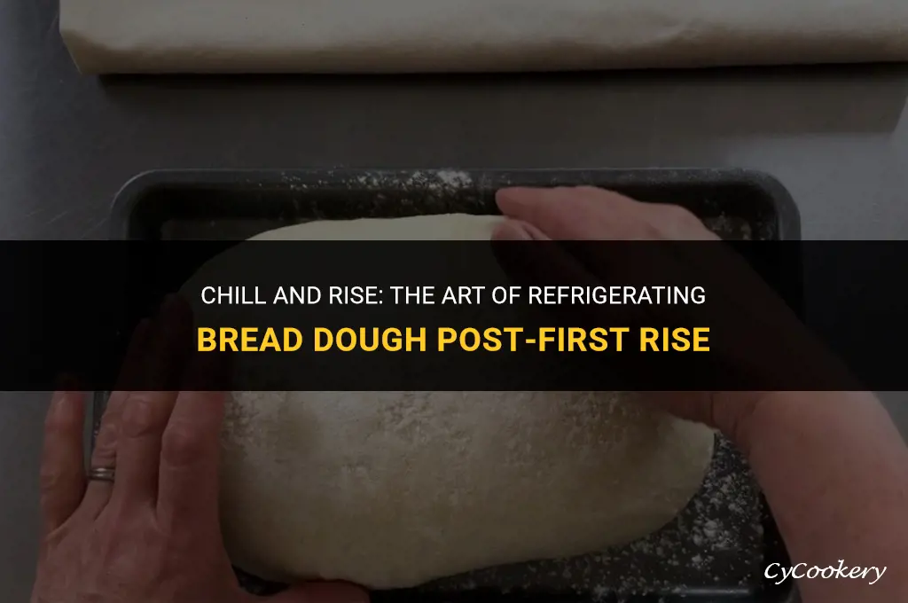 how to refrigerate bread dough after first rising