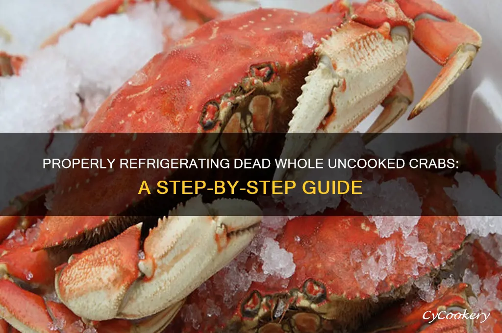 how to refrigerate dead whole uncooked crabs