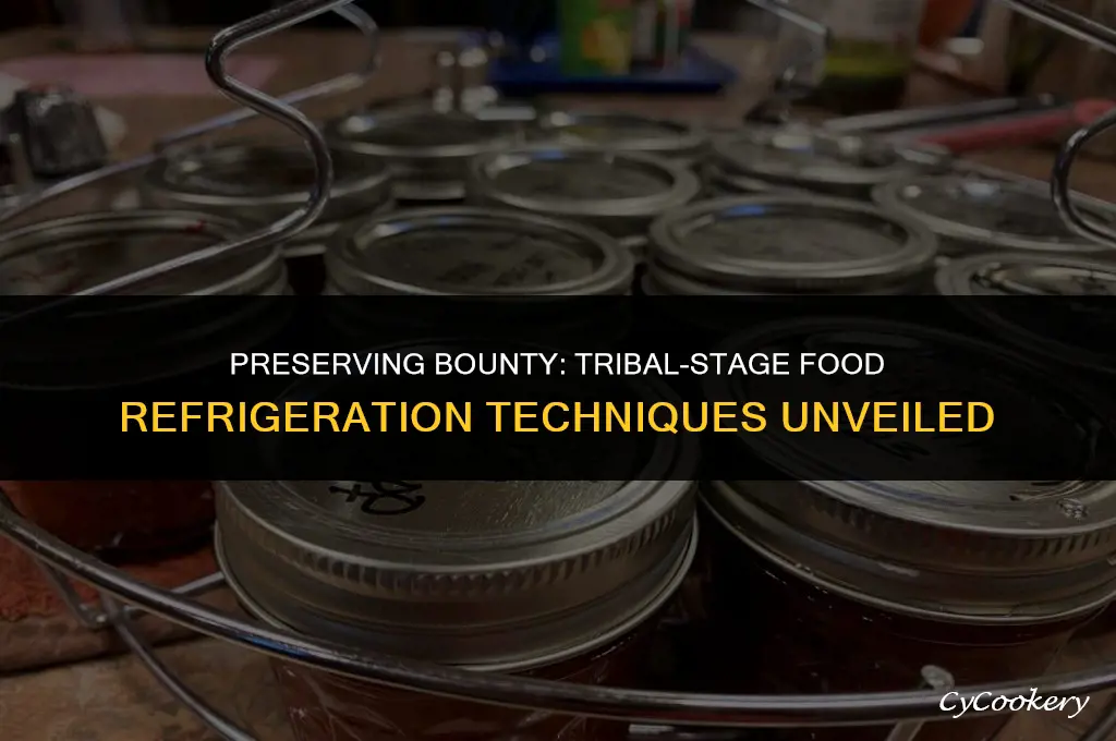 how to refrigerate food in the tribal stage