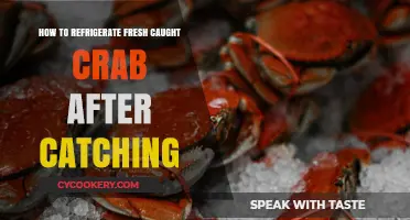 Fresh Catch, Fresh Storage: Refrigerating Your Crab Bounty