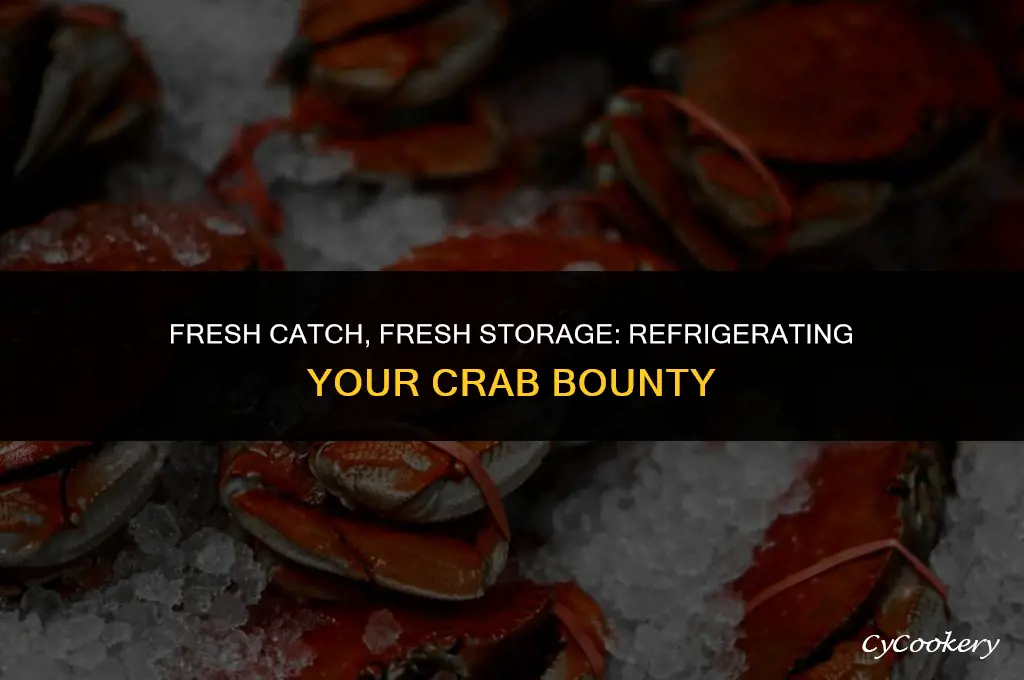 how to refrigerate fresh caught crab after catching