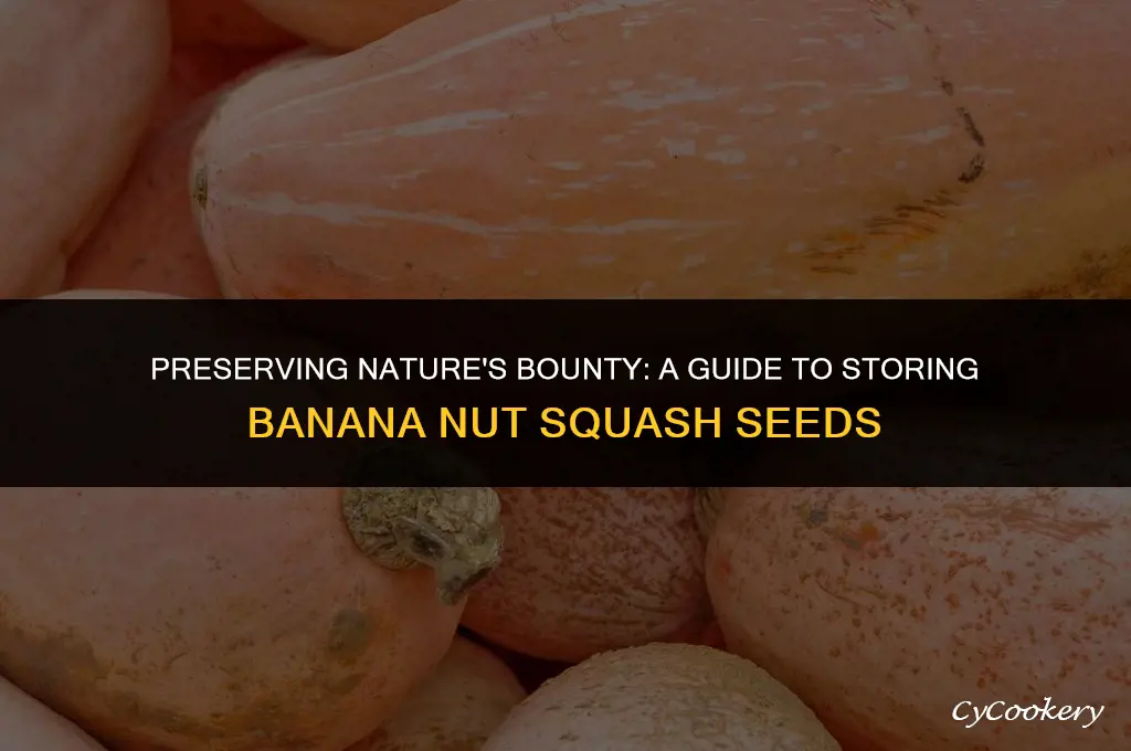 how to refrigerator save banana nut squash seeds