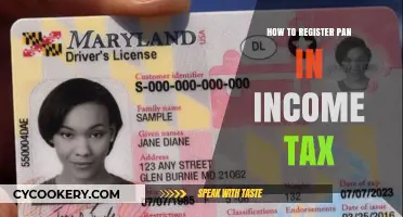 Registering PAN: A Guide to Navigating Income Tax
