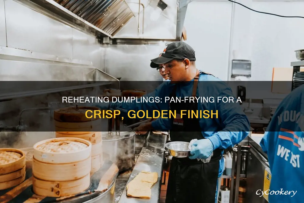 how to reheat dumplings in a pan