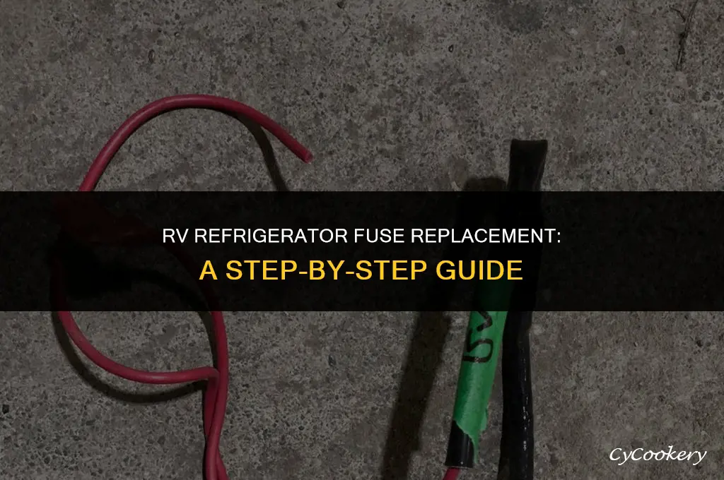 how to relace blown fuse in rv refrigerator