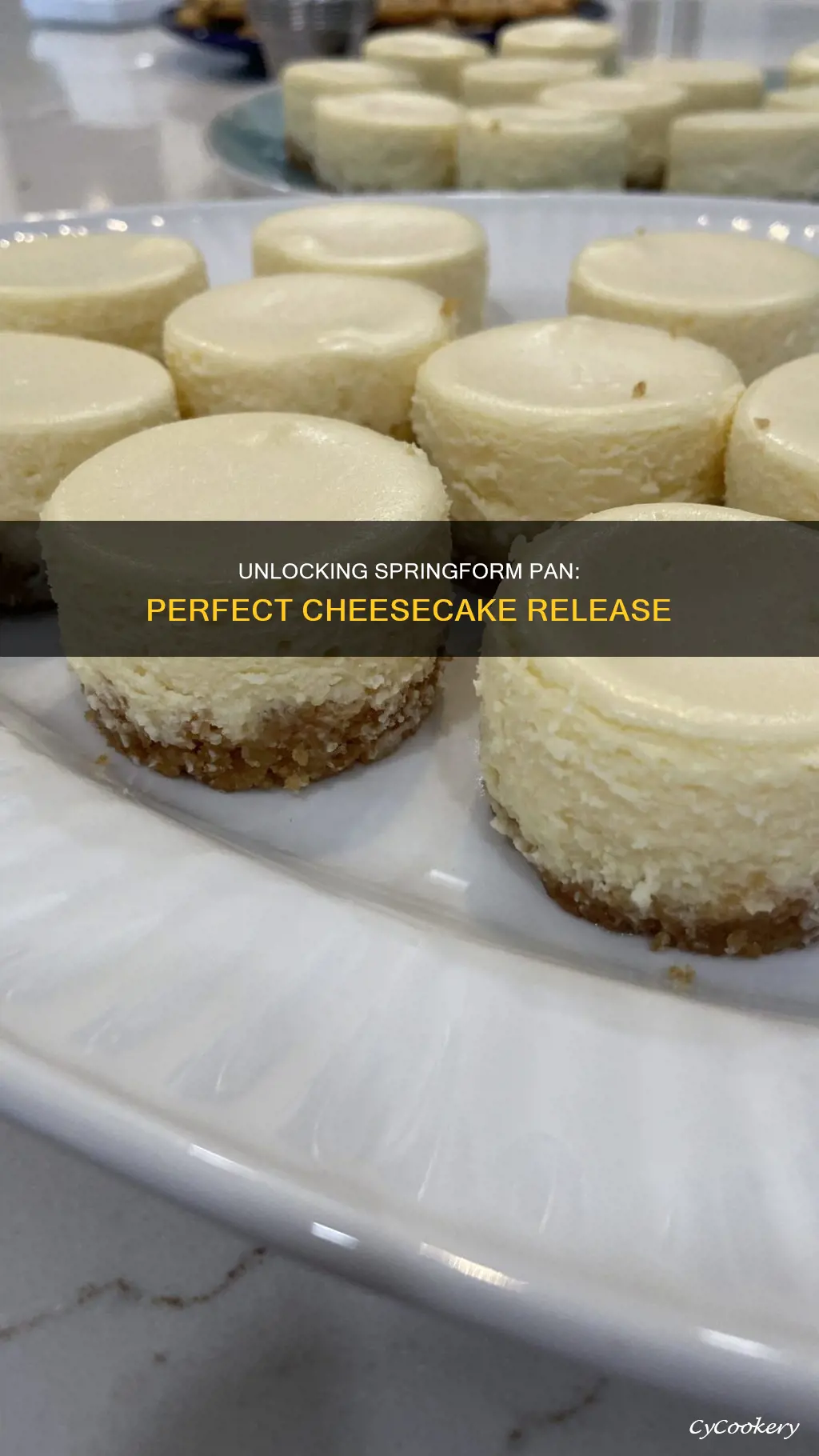 how to release cheeecake from a springform pan