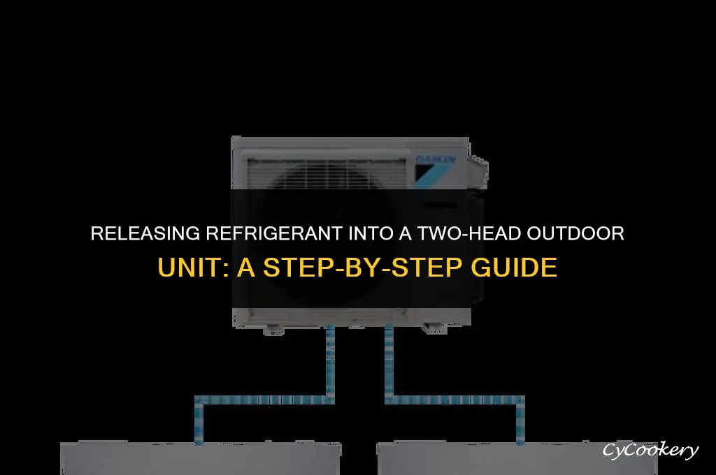 how to release refrigerant into two head outdoor unit