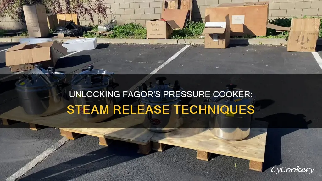 how to release steam fagor pressure cooker