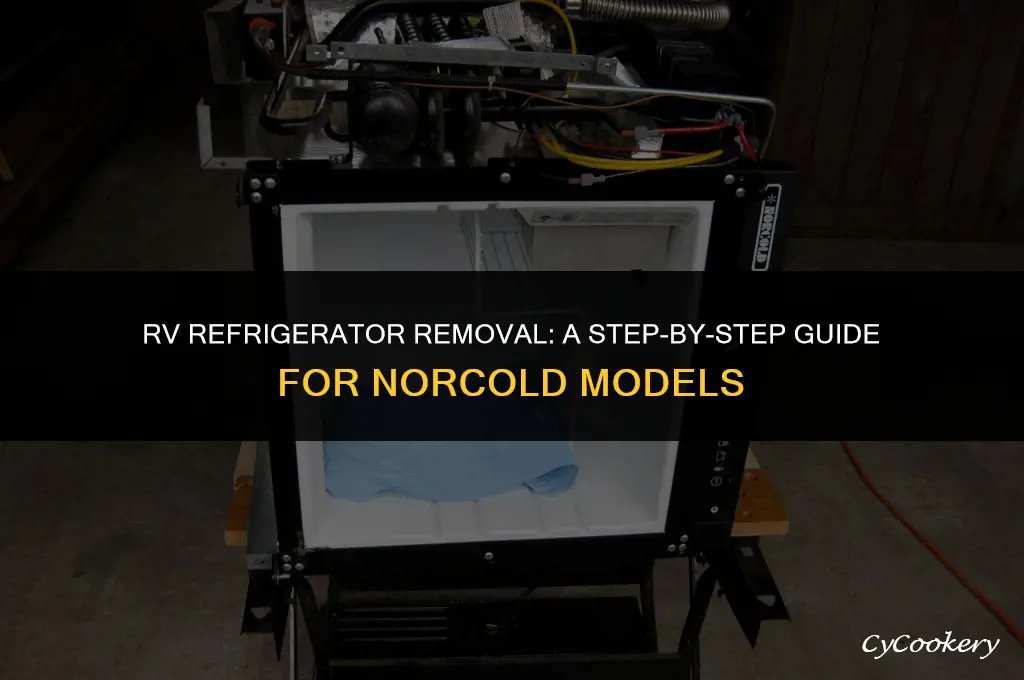 how to remove a norcold refrigerator from an rv