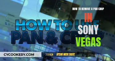 Eliminating Pan and Crop Effects in Sony Vegas: A Step-by-Step Guide