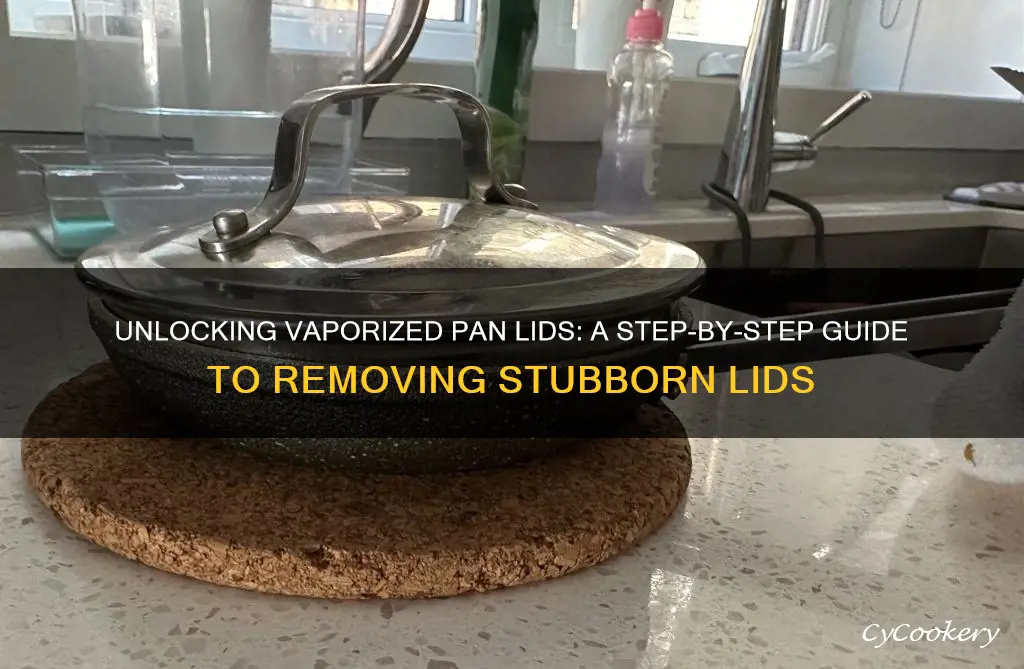 how to remove a pan lid that is vaporized