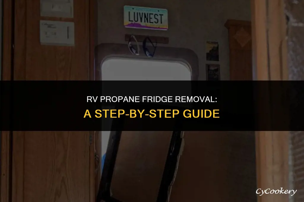 how to remove a propane refrigerator from rv