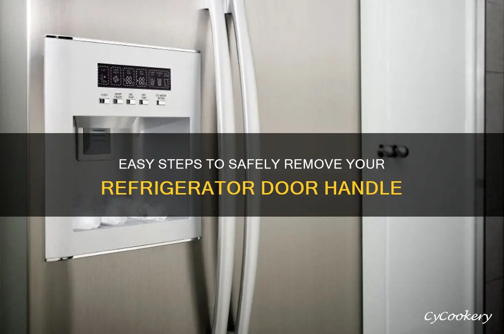 how to remove a refrigerator door handle
