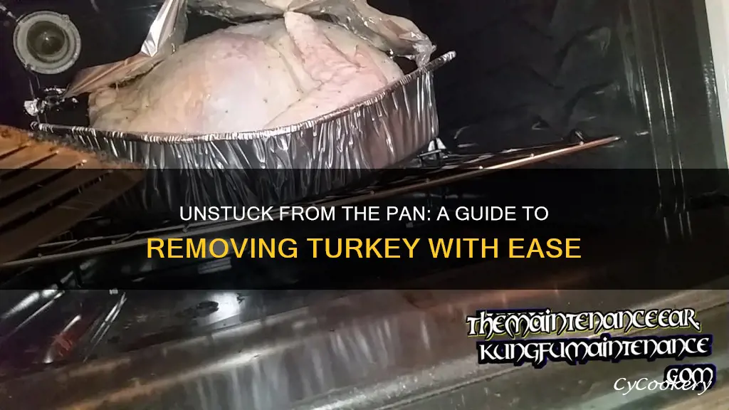 how to remove a turkey from the pan