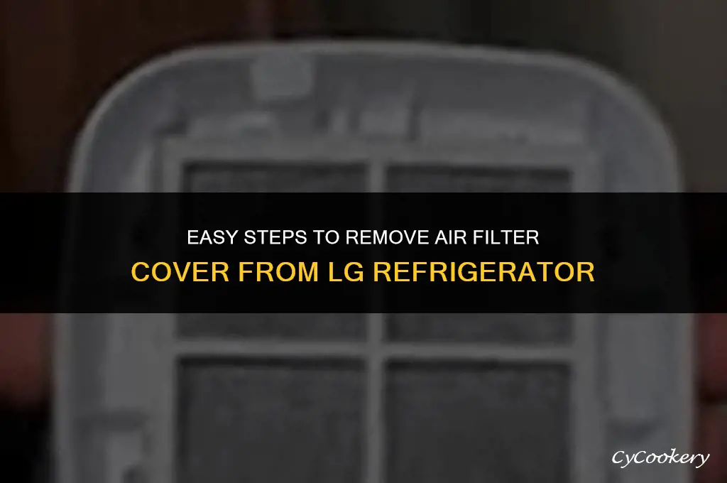 how to remove air filter cover from lg refrigerator