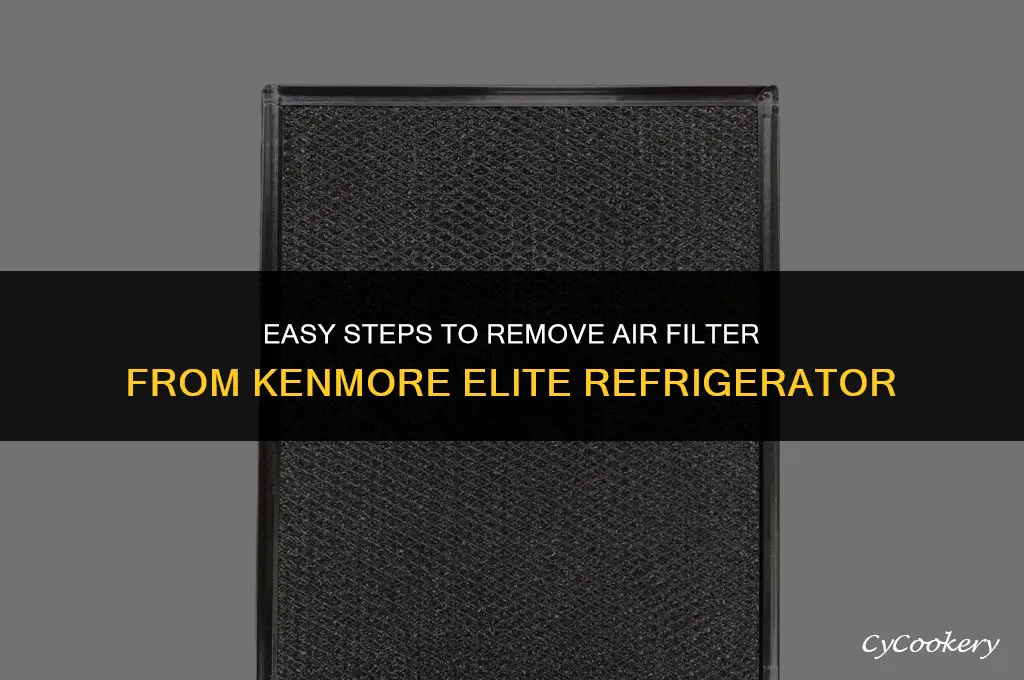 how to remove air filter from kenmore elite refrigerator