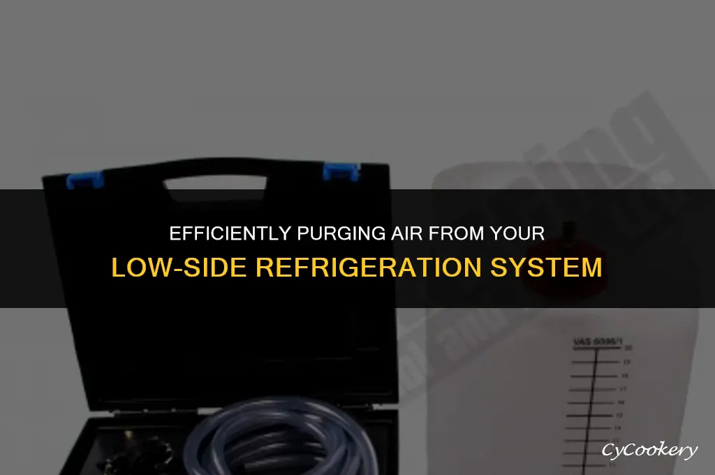 how to remove air from low side refrigeration system