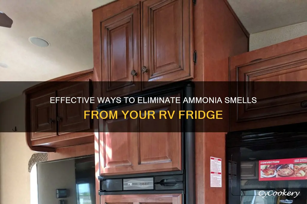 how to remove ammonia from rv refrigerator