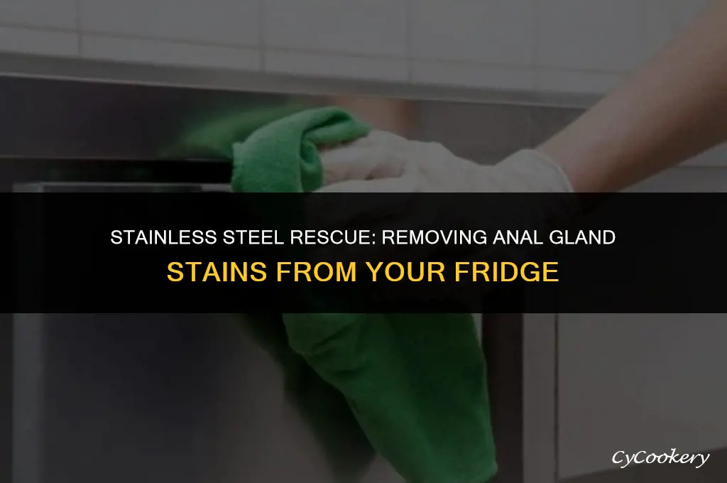 how to remove anal glands from stain steel refrigerator