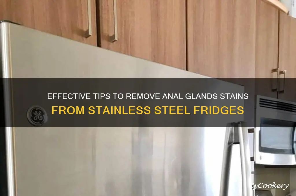 how to remove anal glansfrom stainsteel refrigerator