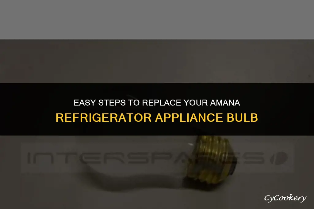 how to remove appliance bulb in an amana refrigerator